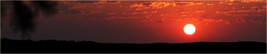 Evergreen Lodge Family Resort